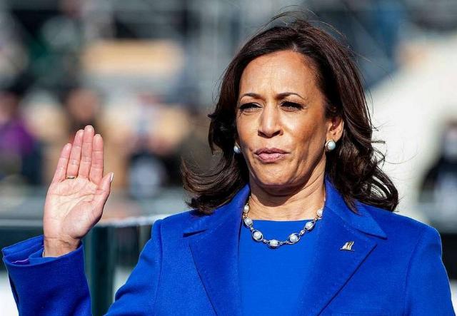 <p><em>Image: Department of Defense via <a href="https://picryl.com/media/vice-president-kamala-harris-takes-the-oath-of-office-ccb477">Picryl</a>, public domain.</em></p>