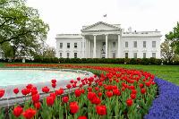 The presidential dilemma