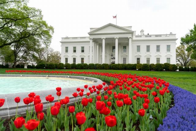 <p><em>Image: Trump White House Archived via <a href="https://www.flickr.com/photos/whitehouse45/32672538607">Flickr</a>, public domain.</em></p>